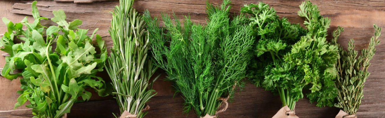 20-tips-growing-thriving-herb-garden